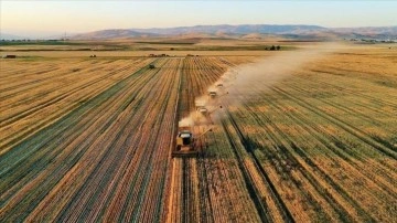 Destekleme ödemeleri çiftçilerin hesabına aktarıldı