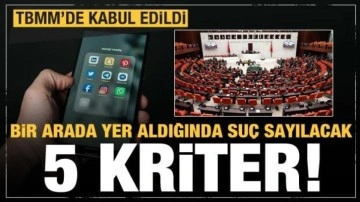 Dezenformasyon Yasası'nda bu 5 kriter bir arada varsa su&ccedil; sayılacak