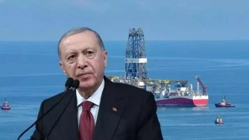 Diğer keşiflerden çok daha farklı! Karadeniz'de 30 milyar dolarlık müjde