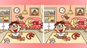 Dikkat gerektiren zeka testi: 32 saniyede 7 farkı sadece şahin g&ouml;zl&uuml;ler bulabiliyor!