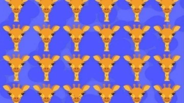 Dikkat gerektiren zeka testi: Resimdeki farklı z&uuml;rafayı 7 saniyede g&ouml;rebilecek misiniz?