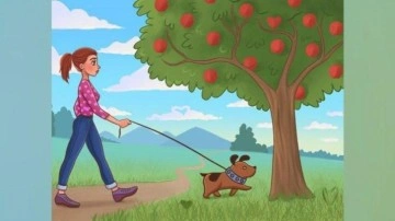 Dikkat &ouml;l&ccedil;en zeka testi: G&ouml;rseldeki 5 kalbi 10 saniyede 600 kişiden sadece 20'si bulabildi!