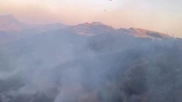 Diyarbakır - Bingöl sınırında orman yangını