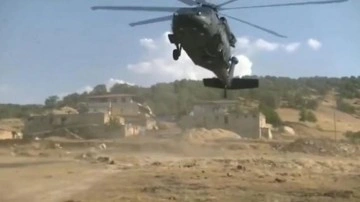 Diyarbakır ve Bing&ouml;l'de 16 milyon k&ouml;k kenevir bitkisi ele ge&ccedil;irildi