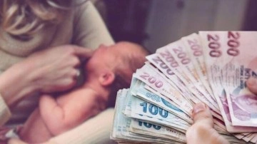 Doğum yardımı başvuruları rekor kırdı