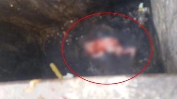 Doğurup çöp konteynerine attığı bebeği esnaf fark etti!