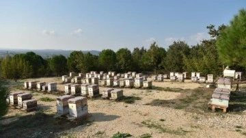 Dolandırıcıların yeni gözdesi! Kilosu 20 bin lira: Yüzde 90'ı sahte!