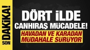 Dört ilde orman yangını! Müdahale sürüyor...