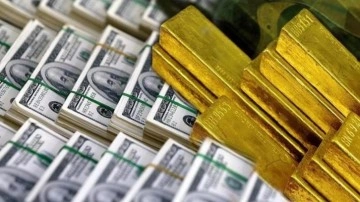 Döviz ve altın dönüşümlü KKM 12 milyar dolara geriledi