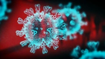 DSÖ'den Chikungunya uyarısı: 5,6 milyar kişi risk altında! Türkiye'de de görüldü
