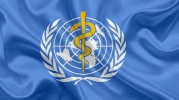 DS&Ouml;: D&uuml;nyada en &ccedil;ok t&uuml;t&uuml;n &uuml;r&uuml;nleri &ccedil;&ouml;pe atılıyor