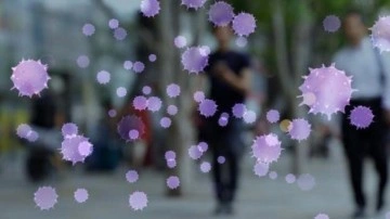 DS&Ouml;'de maymun &ccedil;i&ccedil;eği a&ccedil;ıklaması! Aşı gerekli mi?