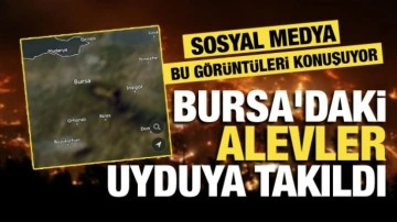 Dumanlar aynı anda yükselmiş... Bursa'daki yangınların uydu görüntüleri ortaya çıktı!