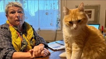 Dünyada bir ilk: Ağır suçlamalar nedeniyle kediye ev hapsi verildi!