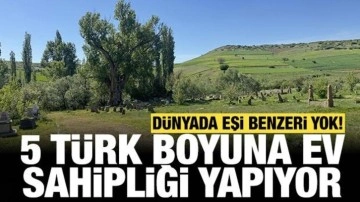 Dünyada tek bir örneği yok: 5 Türk boyuna ev sahipliği yapıyor!