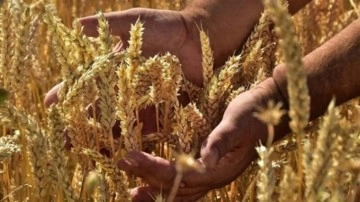 Dünyanın en eski mesleği ortaya çıktı! Bakın o meslek neymiş