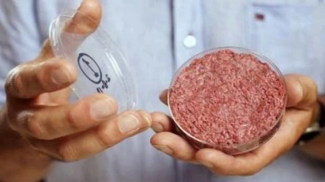 D&uuml;nyanın ilk b&uuml;y&uuml;k yapay et fabrikası kuruluyor
