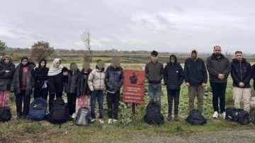 Edirne'de 29 kaçak göçmen yakalandı