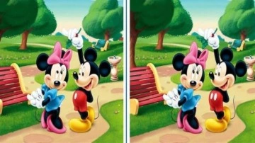 Eğlenceli zeka testi: 11 saniyede 3 farkı bulanın g&ouml;zleri kartalınkiyle yarışır