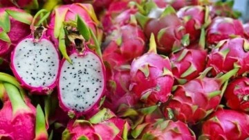 Ejder meyvesi faydaları nelerdir?  Ejder meyvesi nasıl kesilir?