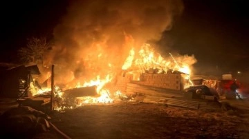 Ekmek yapılan tandırdan sıçrayan alev evi küle çevirdi