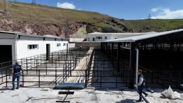 Elazığ Belediyesi'nden Bayram &Ouml;ncesi Mezarlıklarda Kapsamlı Temizlik.