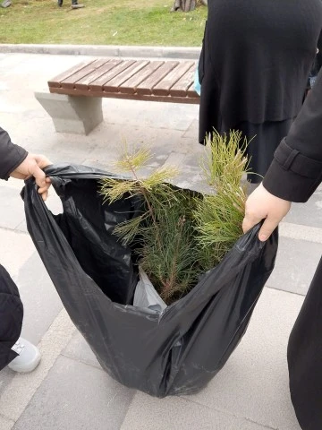 Elazığ&rsquo;da &Ccedil;evreye Yeşil Dokunuş: Orman M&uuml;d&uuml;rl&uuml;ğ&uuml;&rsquo;nden &Uuml;cretsiz &Ccedil;am Fidanı Dağıtımı.