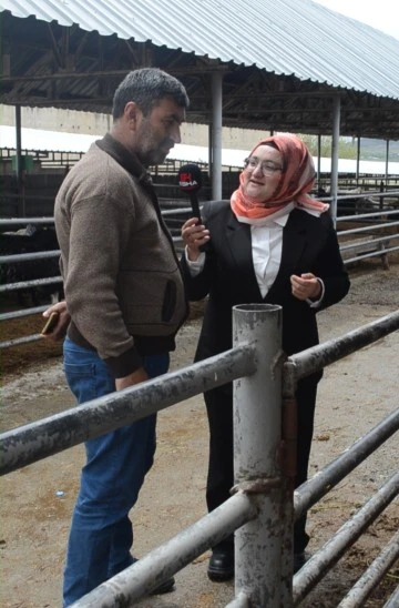 Elazığ Hayvan Pazarı'nda Kurban Fiyatları ve Hayvan Sayısında Azalma