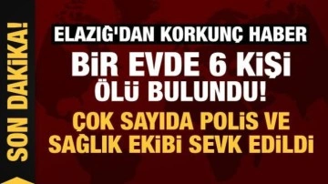 Elazığ'da bir evde 6 kişi &ouml;l&uuml; bulundu!