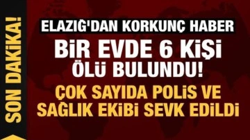 Elazığ'dan korkun&ccedil; haber: Bir evde 6 kişi &ouml;l&uuml; bulundu!