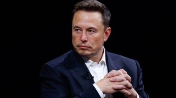 Elon Musk, Amerika Partisi'ni kurdu