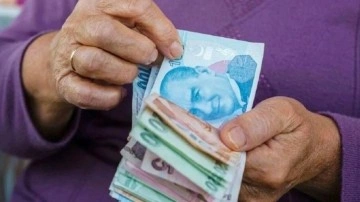 Emeklilere BEDAVA hizmetler bir bir duyuruldu! Ücretsiz faydalanacaklar