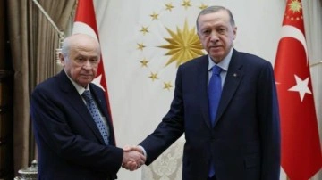 Erdoğan-Bah&ccedil;eli g&ouml;r&uuml;şmesi başladı
