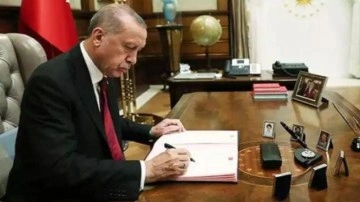 Erdoğan imzaladı! Yeni fak&uuml;lteler kuruldu