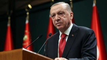 Erdoğan'dan &ouml;nemli &ccedil;ağrı: Sahiplenmeye davet ediyorum