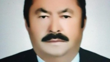 Eski muhtar arı sokması sonucu öldü!