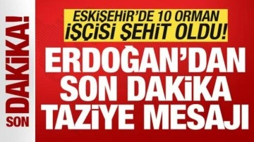 Eskişehir'de 10 orman işçisi şehit oldu: Cumhurbaşkanı Erdoğan'dan taziye mesajı