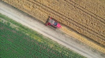 FAO'dan Türkiye'deki projelere 8,1 milyon dolarlık kaynak