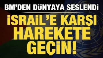 Filistin'in BM Temsilcisinden çağrı: İsrail'e karşı harekete geçin!