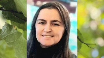 Fındık hasadında acı olay: Arının soktuğu kadın öldü