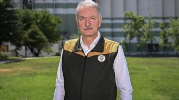 Fındıkta 453 bin tonluk rekolte bekleniyor!