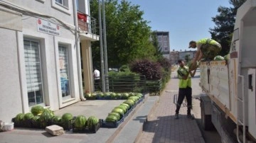 Fiyatlara kızdılar 50 ton bedava karpuz dağıttılar