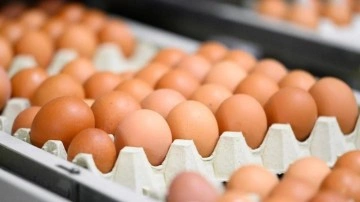 Fon kaldırıldı! Yumurta fiyatlarında ani yükseliş