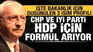 Gaffar Yakınca yazdı: HDP'ye bakanlık form&uuml;lleri