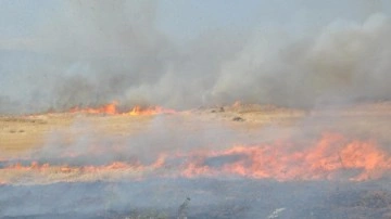 Gaziantep'te anız yangını 4 saatte söndürüldü