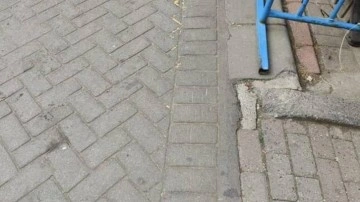 Gaziosmanpaşa’da pitbullun saldırdığı köpek öldü