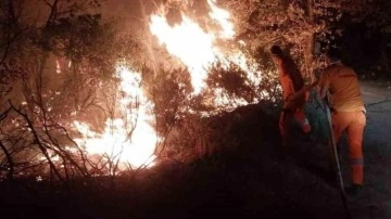 Gebze'de orman yangını 3 saatte söndürüldü