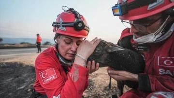 Gelibolu yangınında yürekleri ısıtan görüntü! Ekipler koyunu önce kurtardı sonra sarıldı