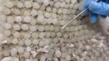 Gelinliğin üzerine boncuk şeklinde işlenmiş 25 kilo uyuşturucu ele geçirildi