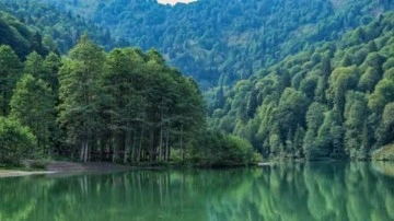 Gençlere tarımda süper teşvik geliyor! Ucuz kredi...
